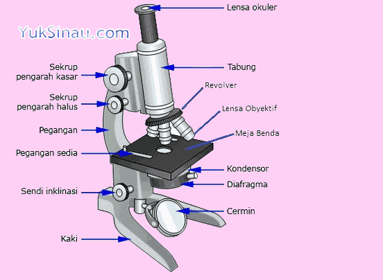 bagian mikroskop