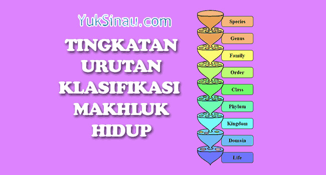 tingkatan klasifikasi makhluk hidup