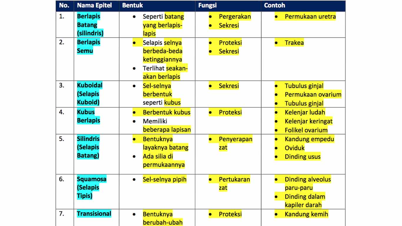 tabel-jaringan-epitel