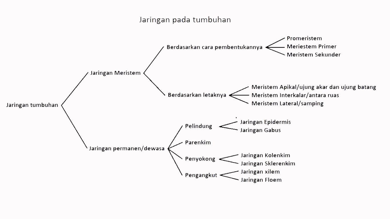 artikel jaringan tumbuhan