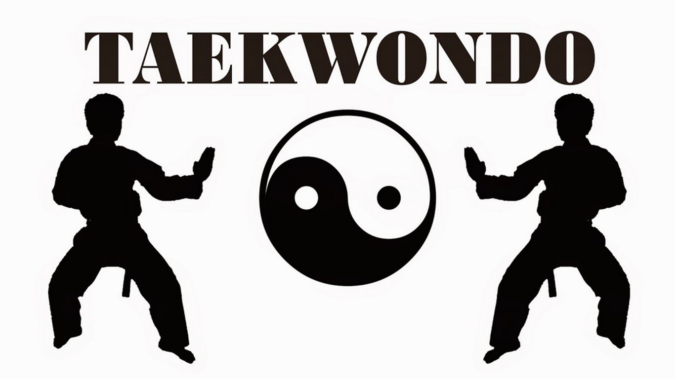 taekwondo fight
