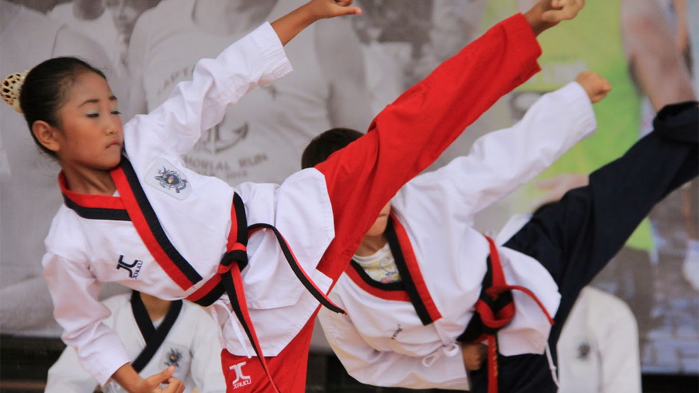 taekwondo video