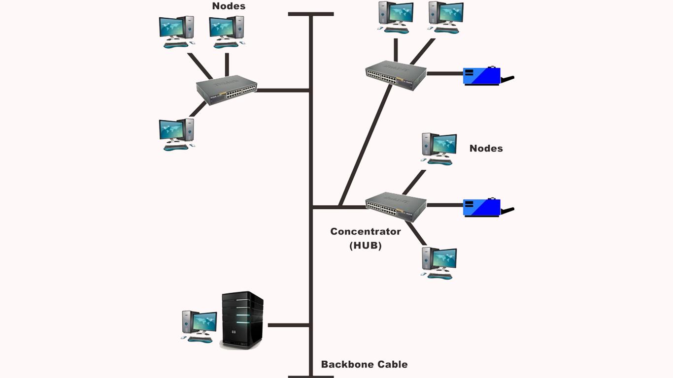 Topologi Tree