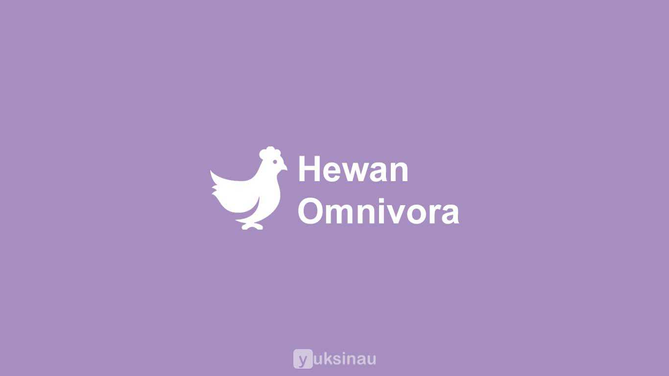 Hewan Omnivora