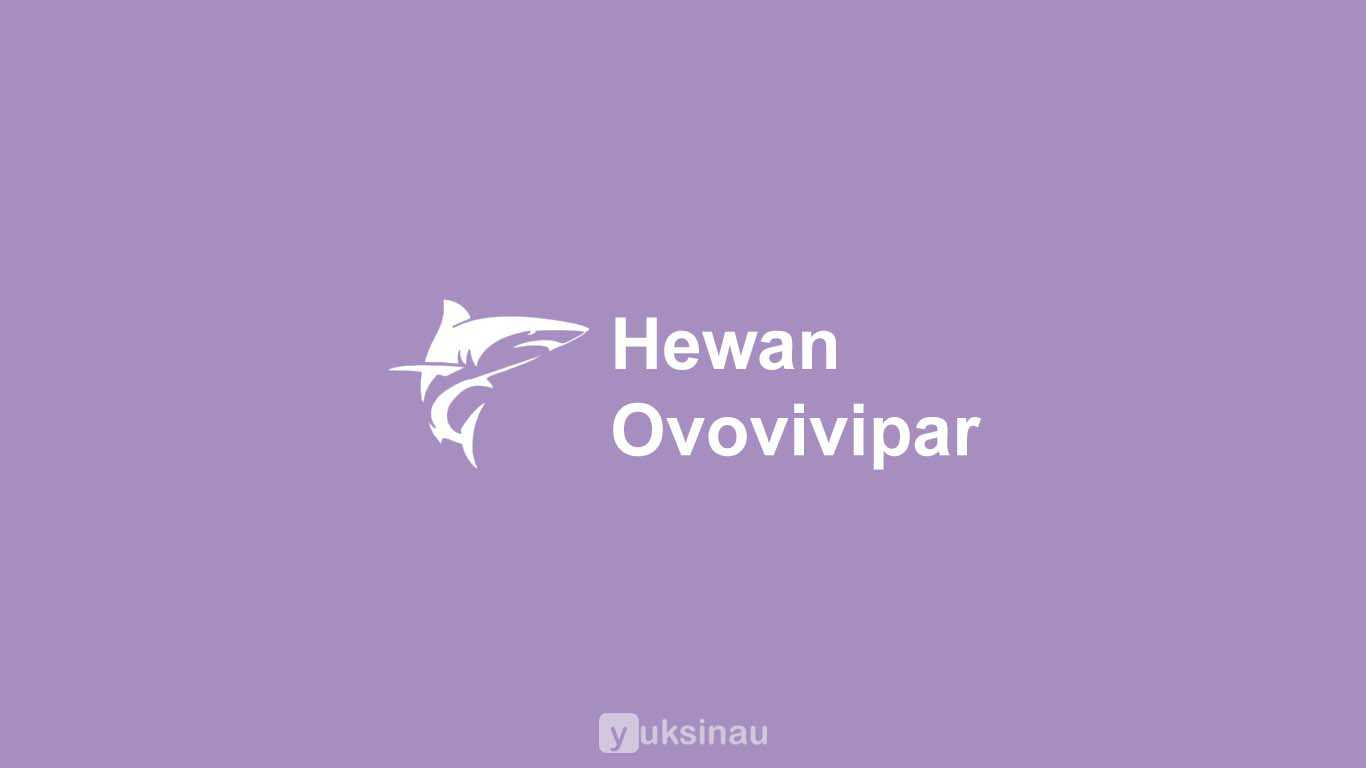 Hewan Ovovivipar