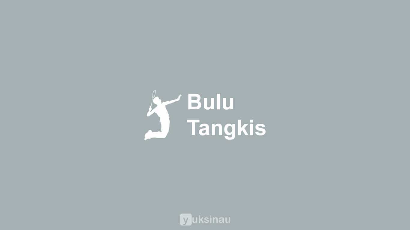 Bulu Tangkis