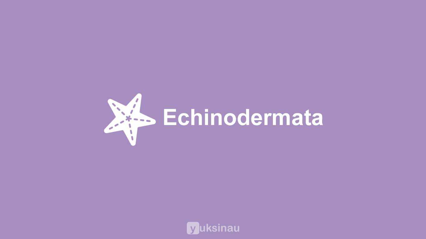 Echinodermata