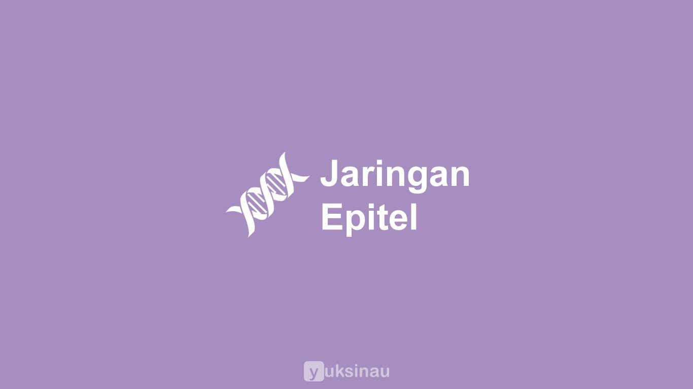 Jaringan Epitel