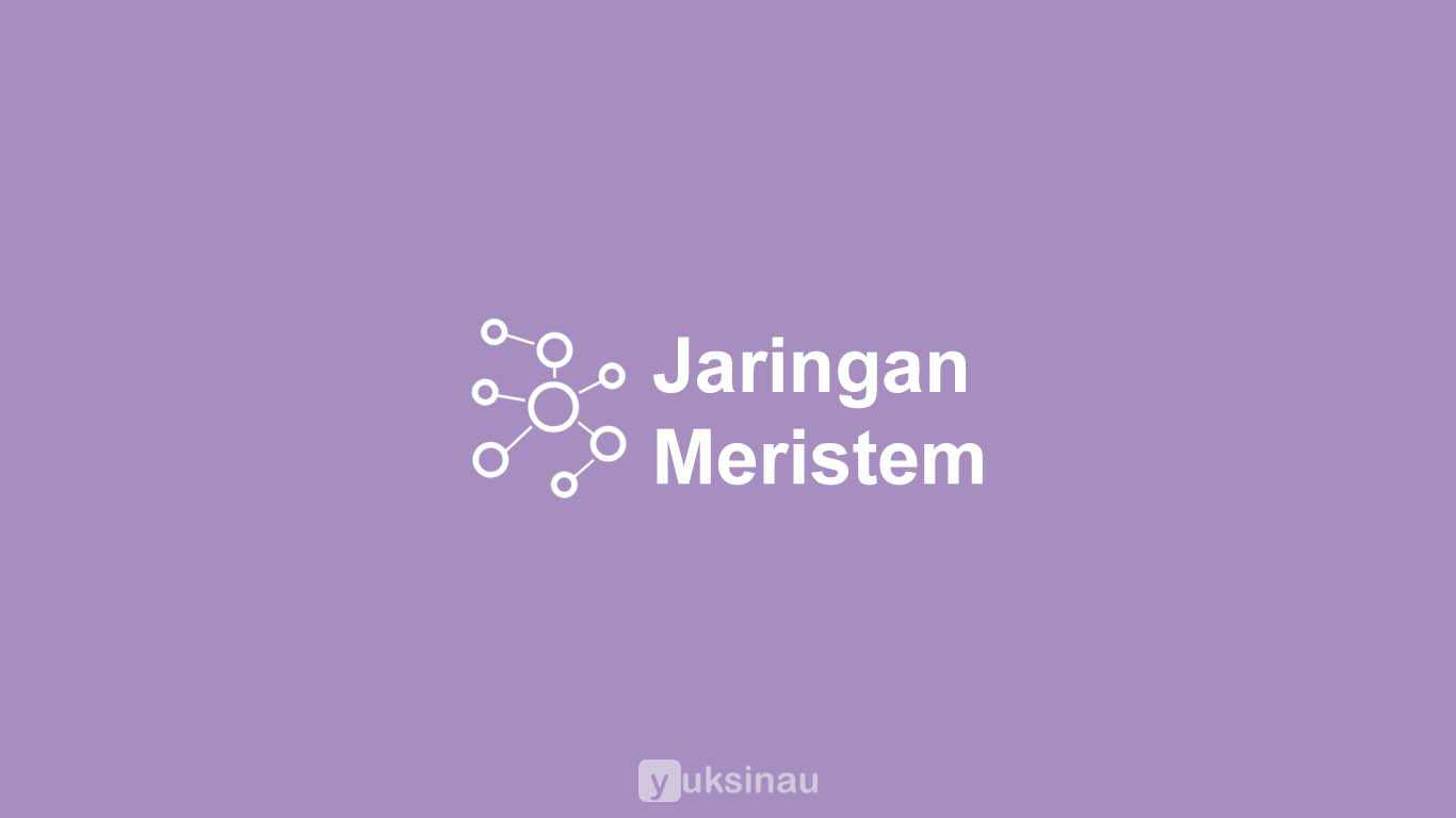 Jaringan Meristem