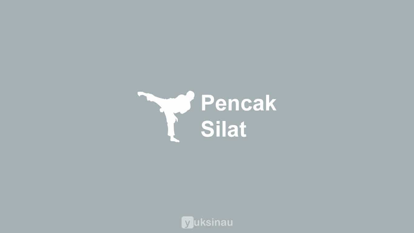 Pencak Silat