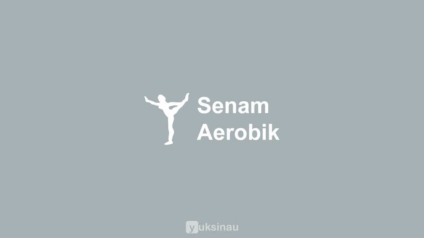 Senam Aerobik