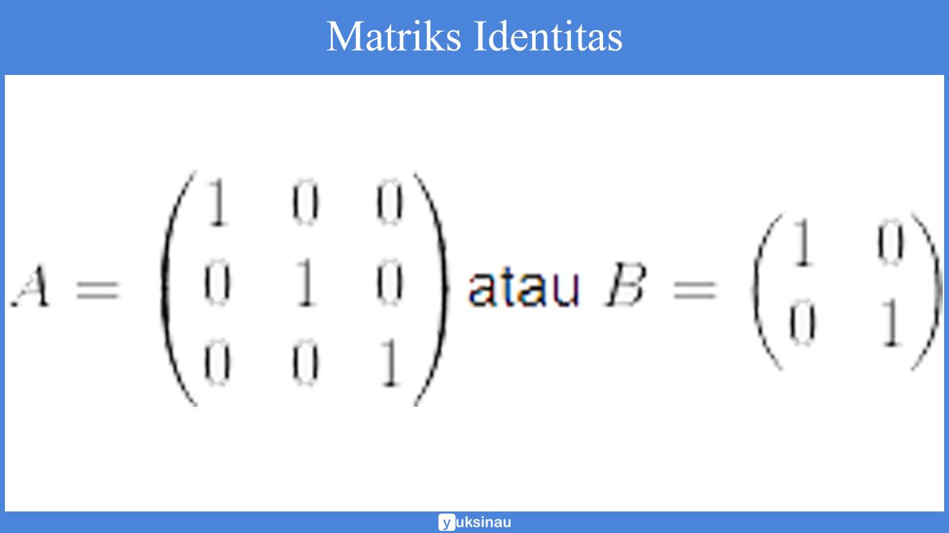 elemen matriks determinan