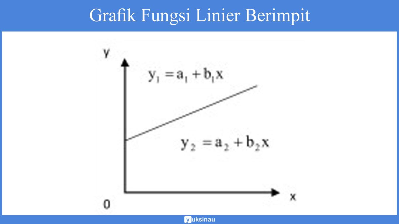 fungsi linear adalah