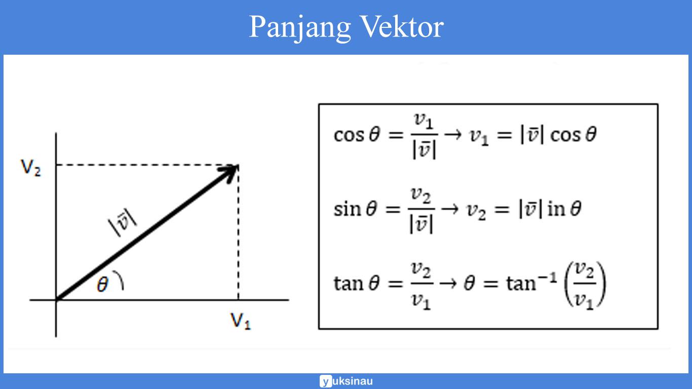 vektor sumbu positif