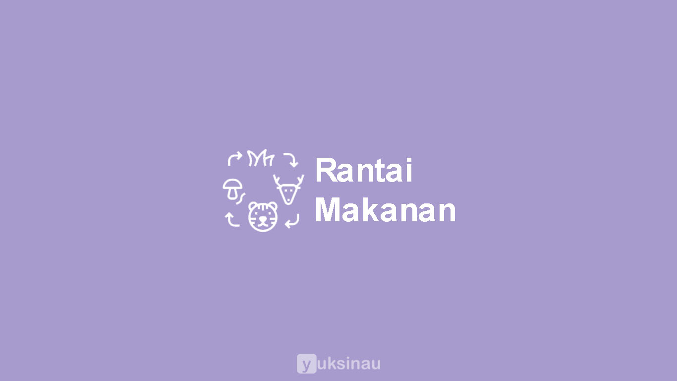 Rantai Makanan