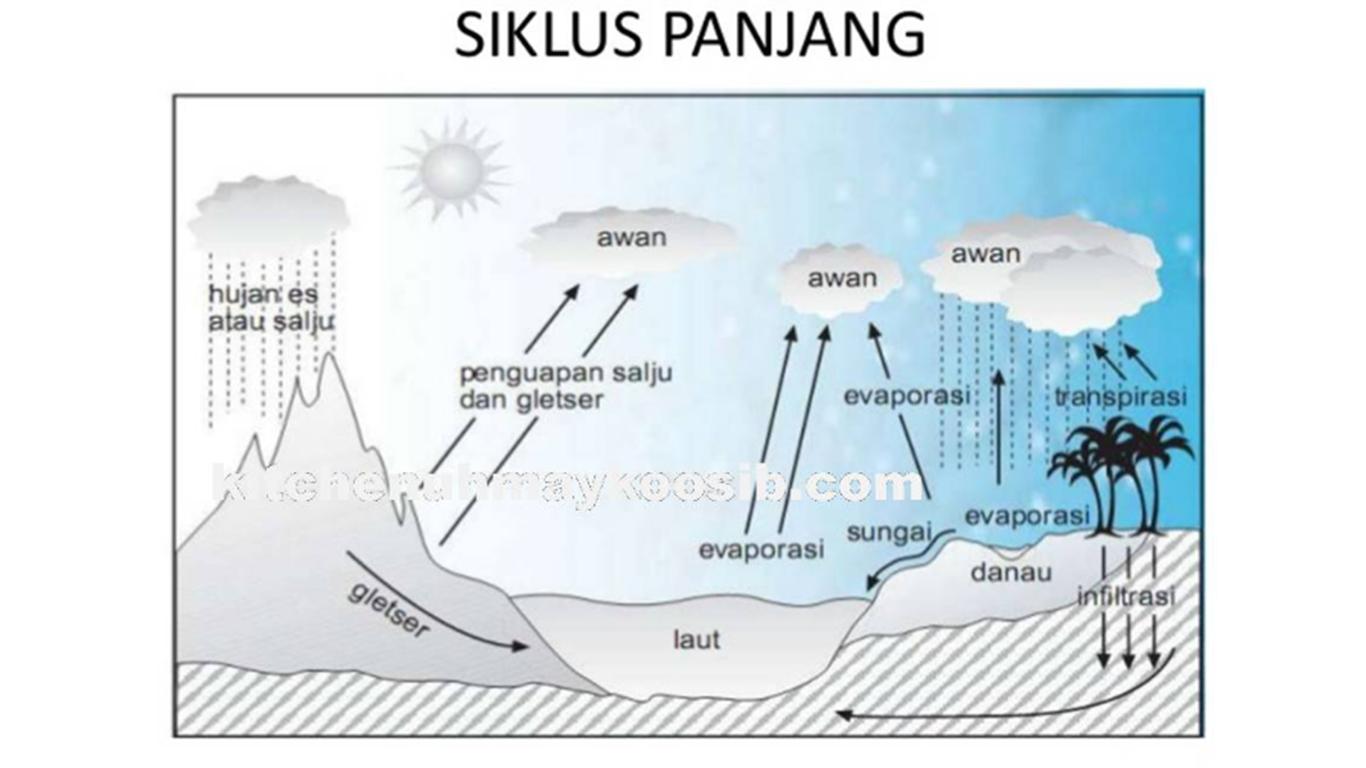 daur air kelas 5