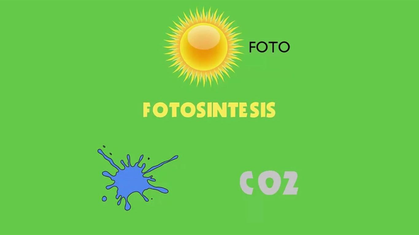 fotosintesis adalah