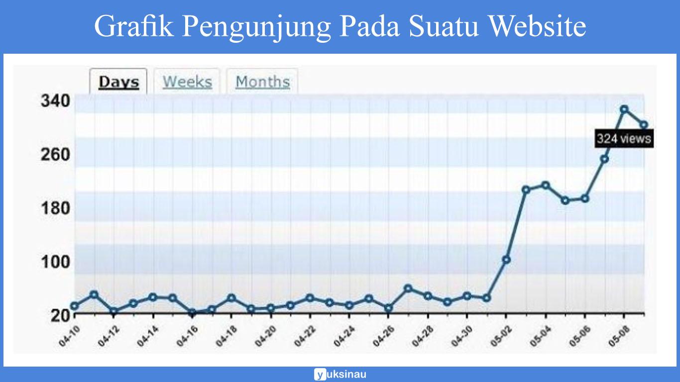 grafik pengunjung pada suatu website