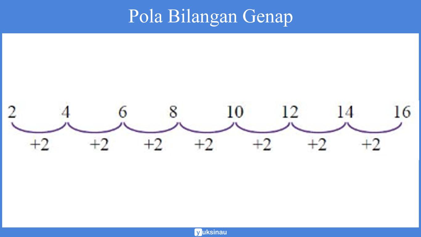 tabel pola bilangan