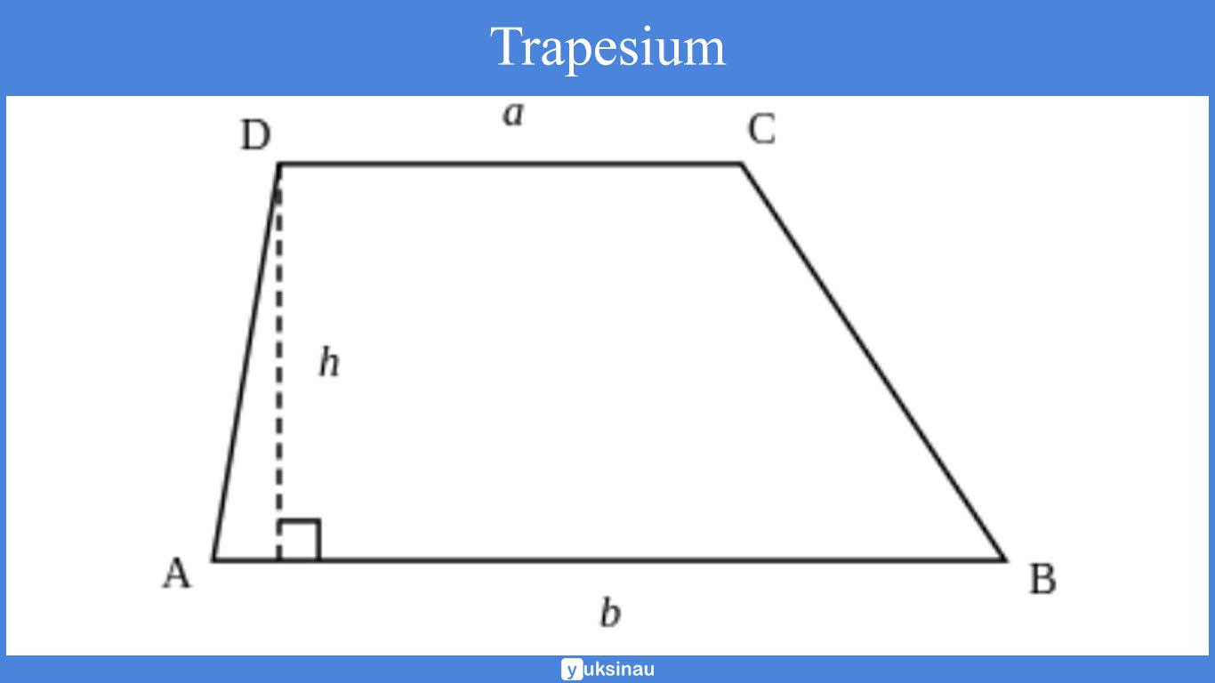 trapesium