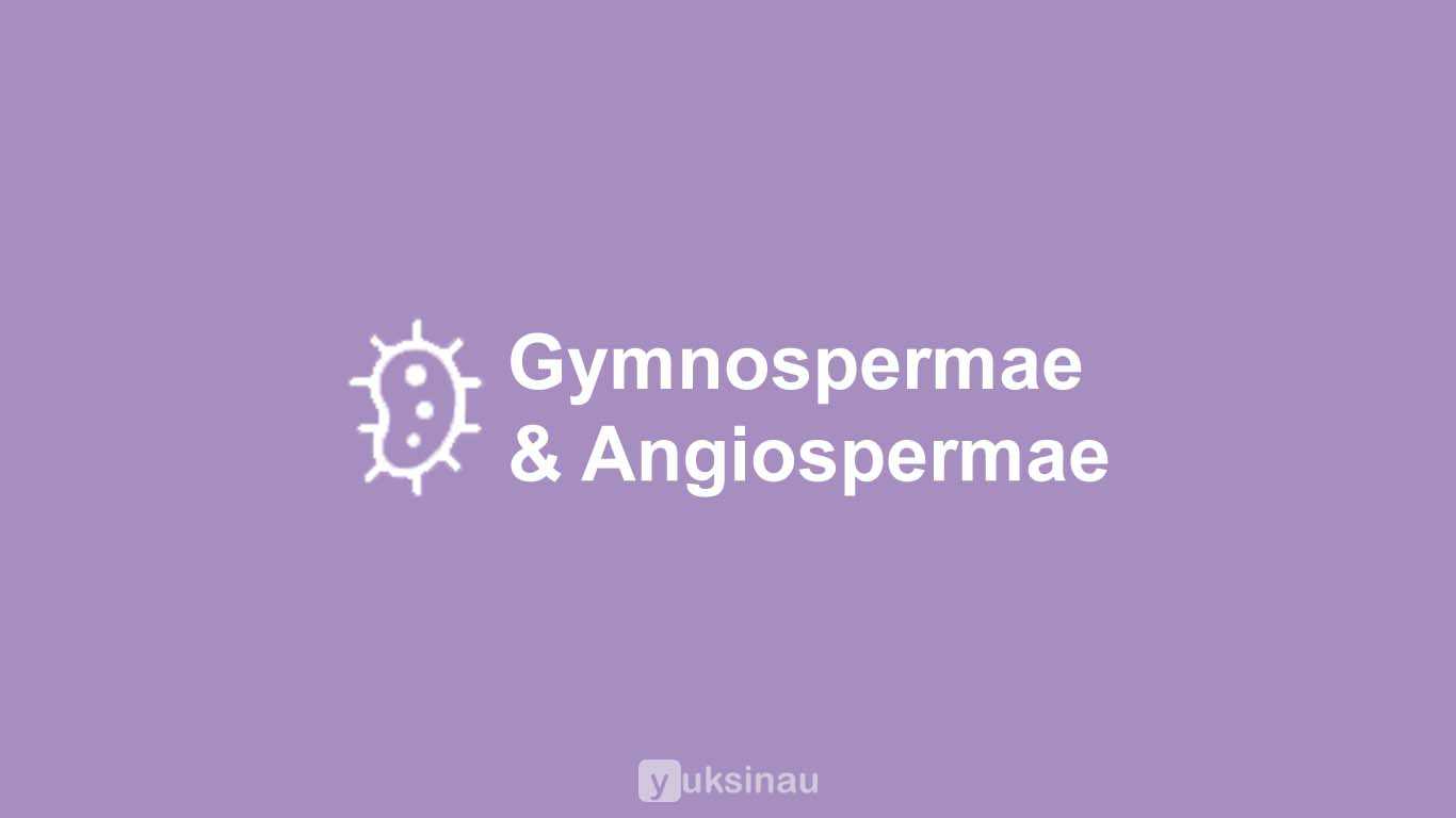 Gymnospermae dan Angiospermae