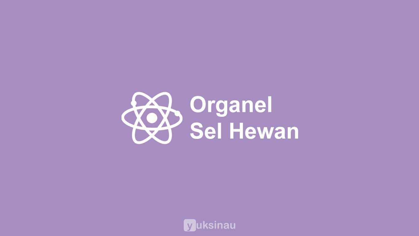 Organel Sel Hewan