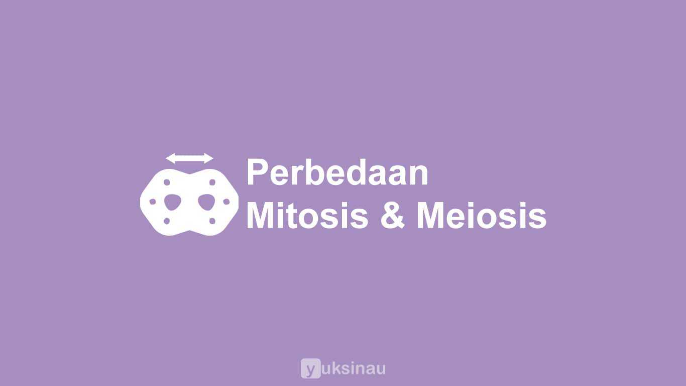 Perbedaan Mitosis dan Meiosis