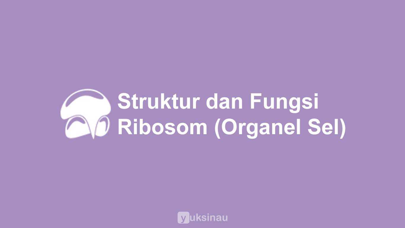 Struktur dan Fungsi Ribosom
