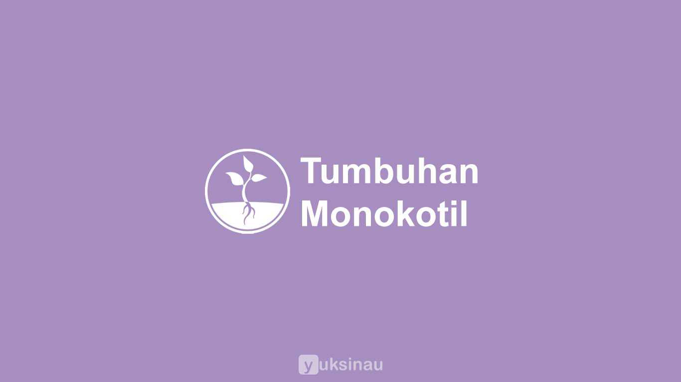 Tumbuhan Monokotil