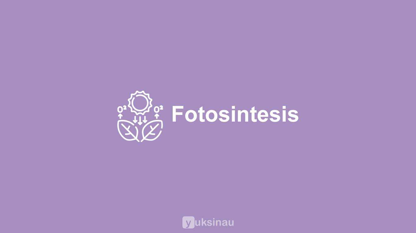 Fotosintesis