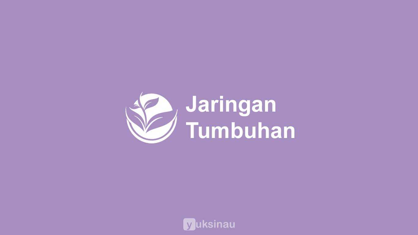 Jaringan Tumbuhan