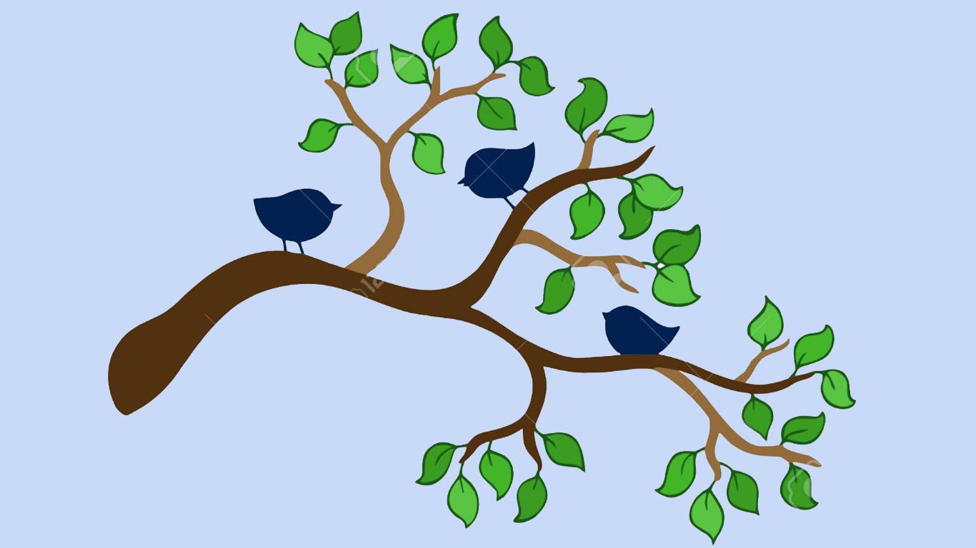 Three Birds On a Tree Branch