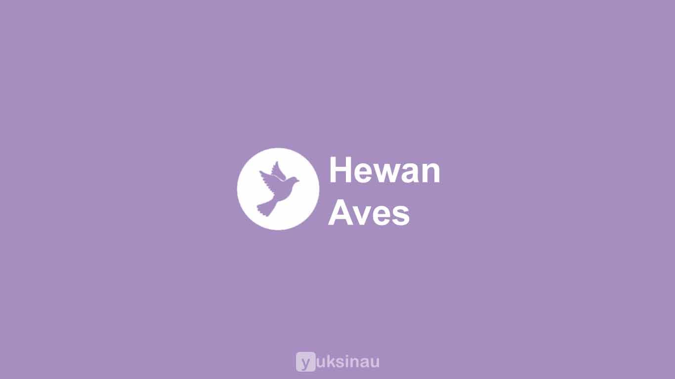 Hewan Aves