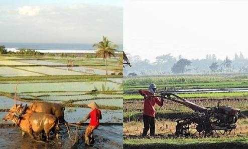 contoh perubahan sosial budaya