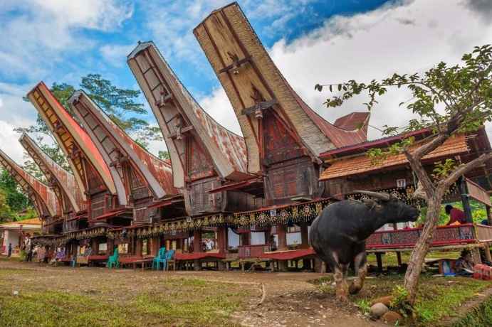 rumah adat suku toraja