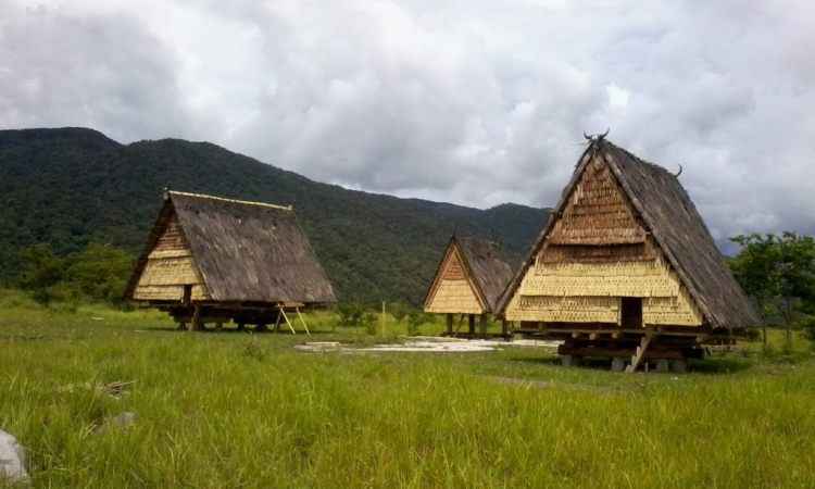 rumah adat tambi