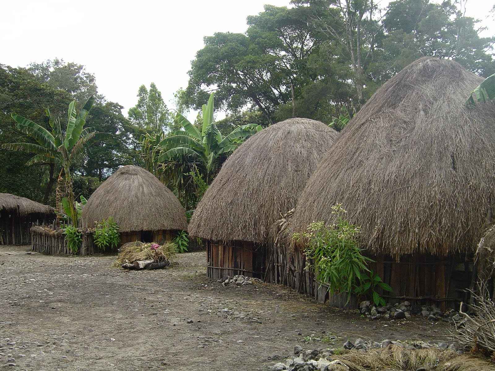 Daftar Rumah Adat Papua