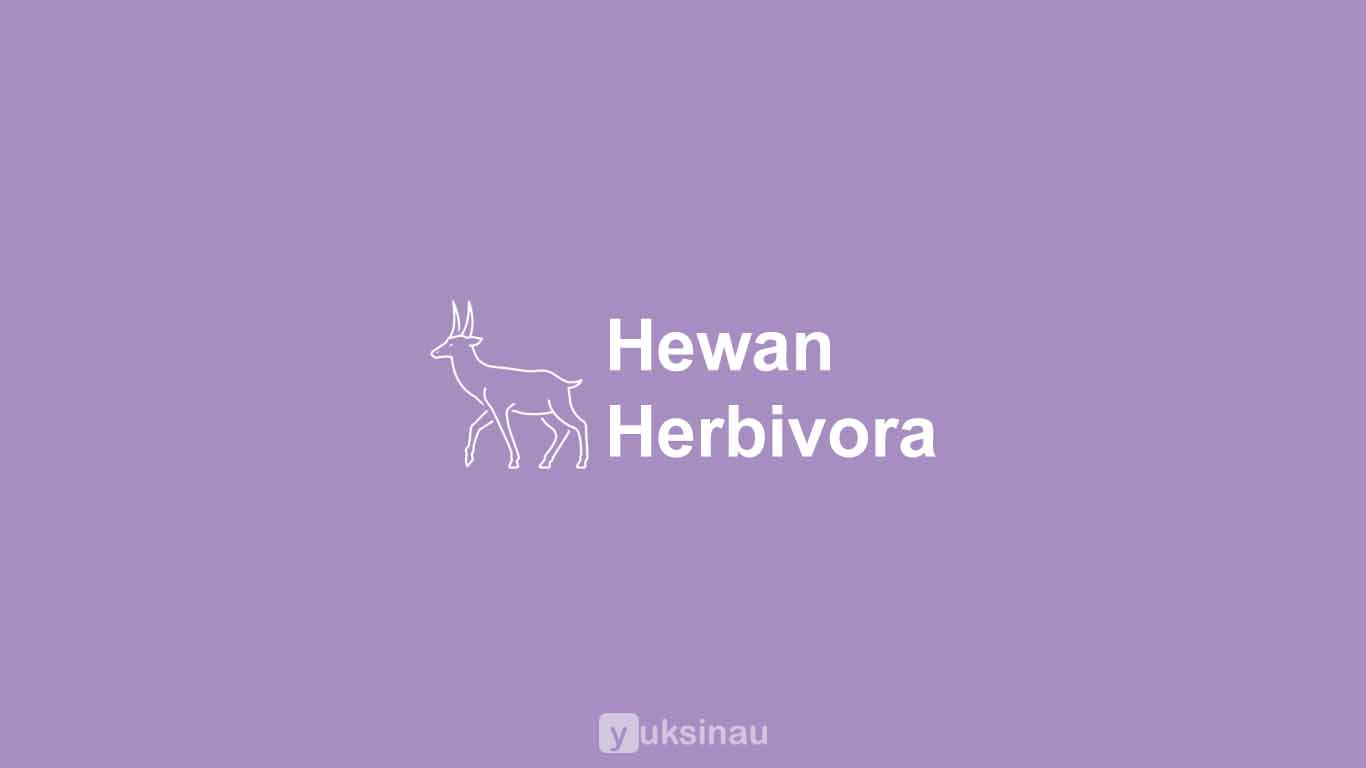 Hewan Herbivora