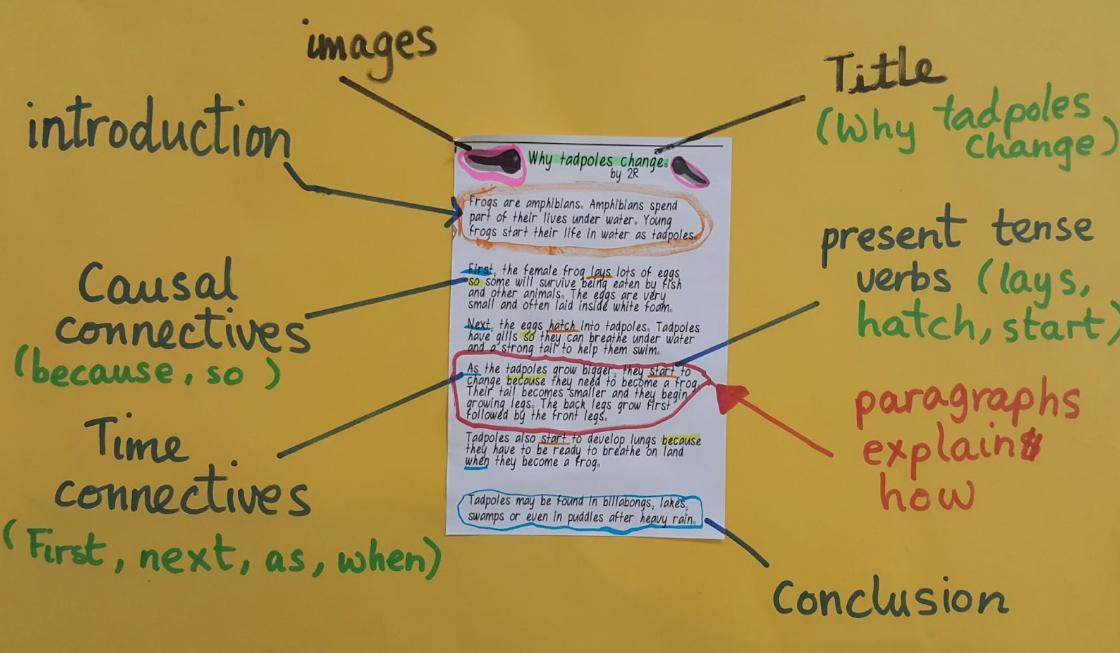 contoh explanation text beserta generic structure