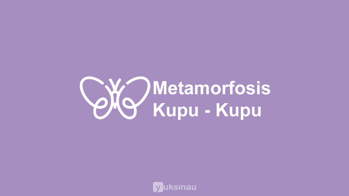 Metamorfosis Kupu - Kupu