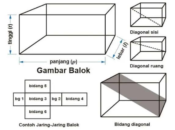 jaring-jaring kubus dan balok