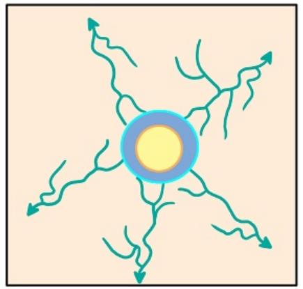 Aliran Radial Sentrifugal