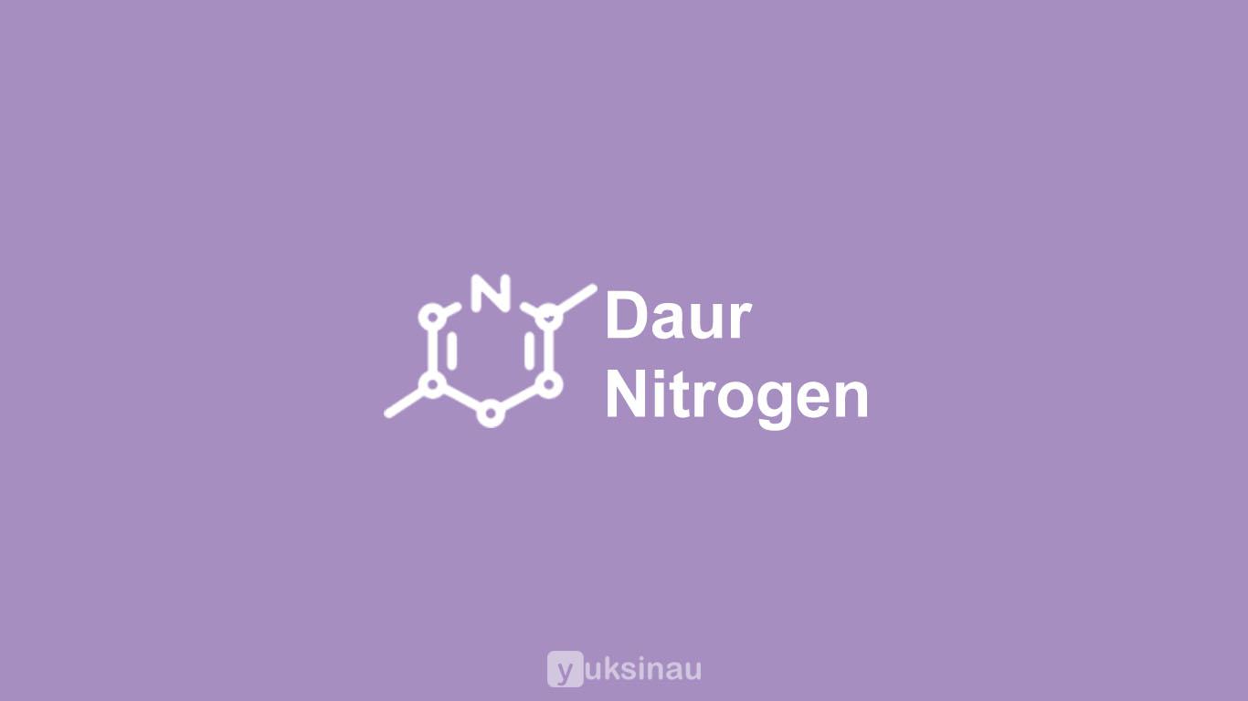 Daur Nitrogen