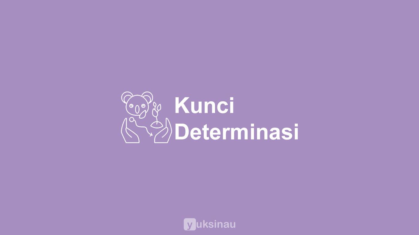 Kunci Determinasi