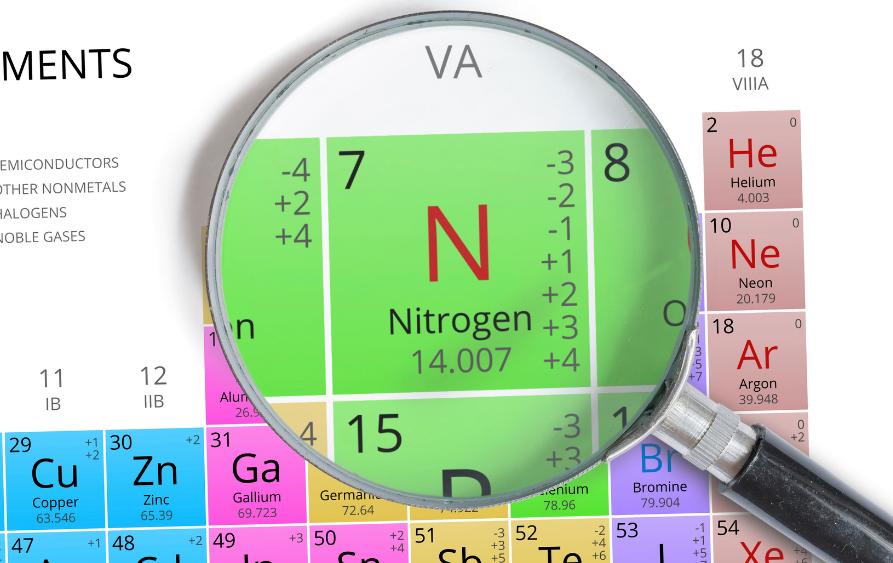 daur nitrogen brainly