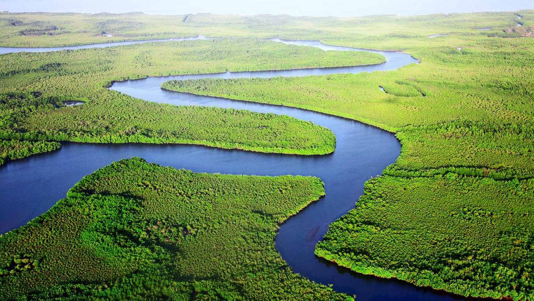 pola aliran sungai pinnate