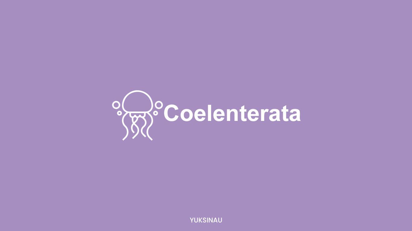 Coelenterata