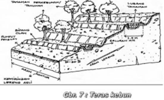 apa tujuan pembuatan terasering atau sengkedan