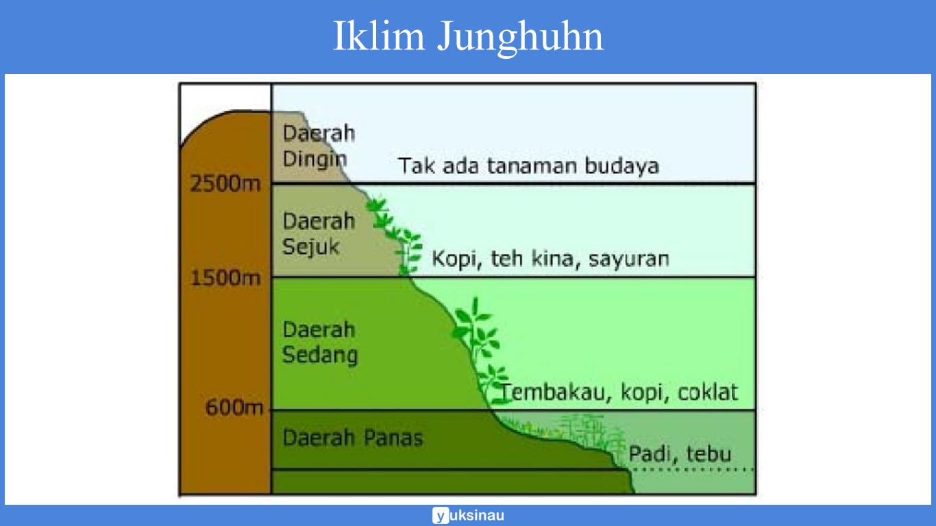 klasifikasi iklim matahari