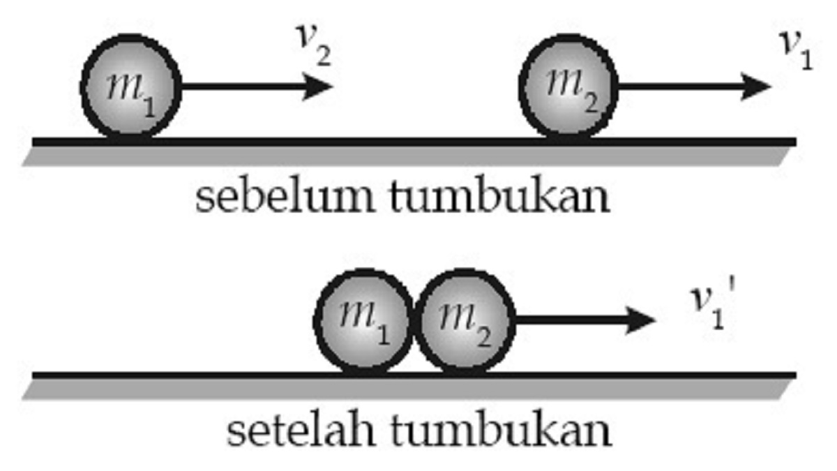 Apa Itu Momentum?